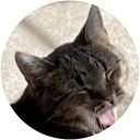 The Page Family with Chloe profile picture